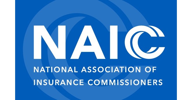 NAIC logo