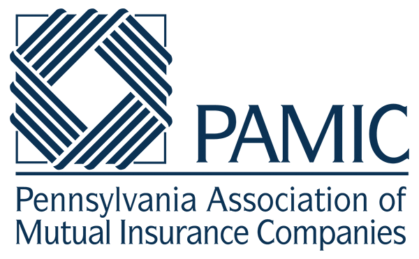 PAMIC logo